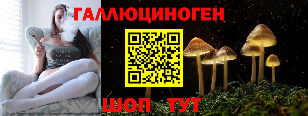 Галлюциногенные грибы Psilocybe  Вход с VPN  где купить   Сатка  Псилоцибиновые грибы мицелий 